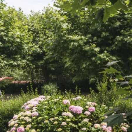 キャンプ場 Mobil-home 2 Avec Terrasse A - Api-1-52-590