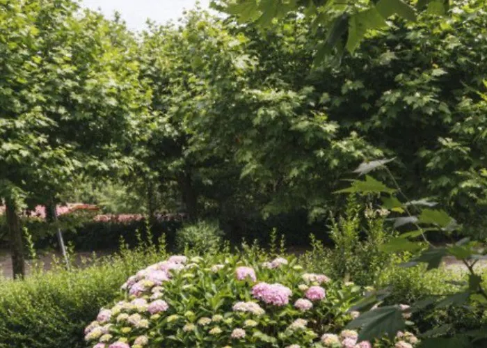 キャンプ場 Mobil-home 2 Avec Terrasse A - Api-1-52-590