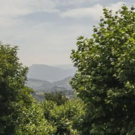 Mobil-home 2 Avec Terrasse A - Api-1-52-590 *